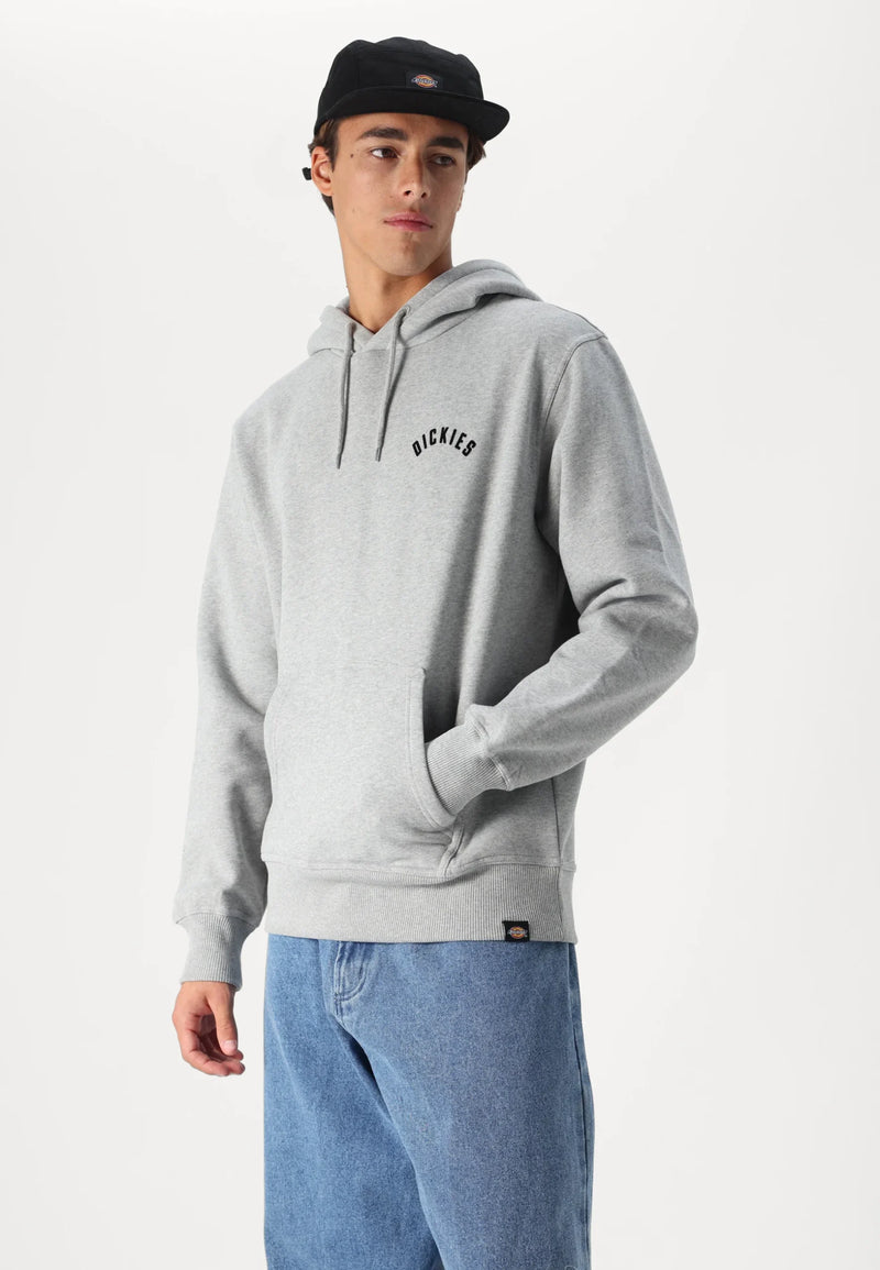 Load image into Gallery viewer, Dickies Men&#39;s Panther Hoodie Grey DK0A87CI0H21
