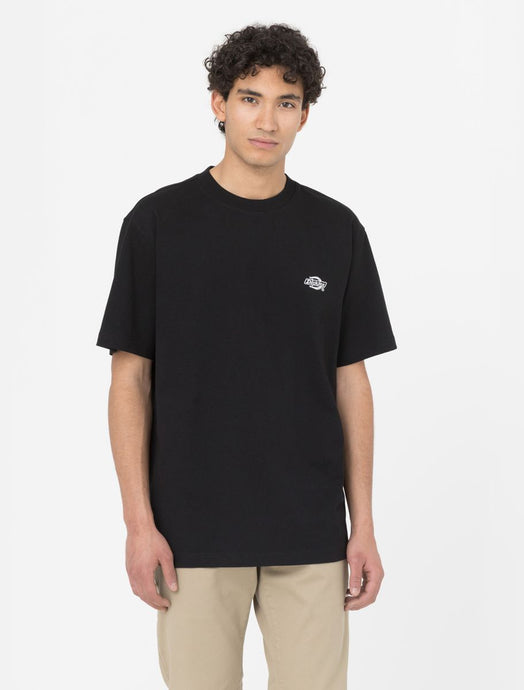 Dickies Men's Summerdale Short Sleeve T-Shirt Black DK0A4Y1BBLK1