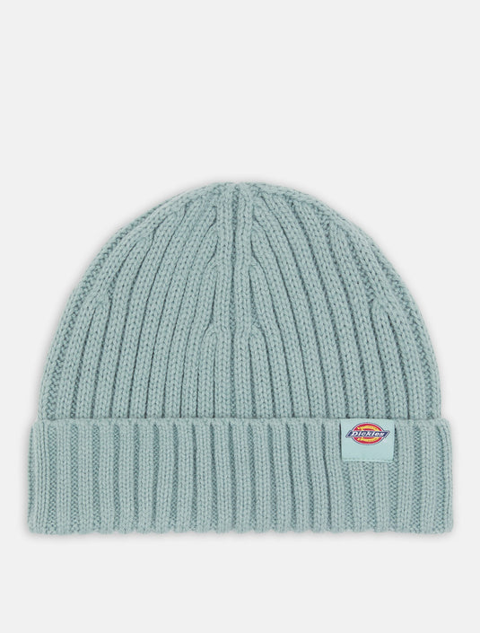 Dickies Unisex Lockwood Beanie Hat Blue Surf DK0A4Z2OJ59