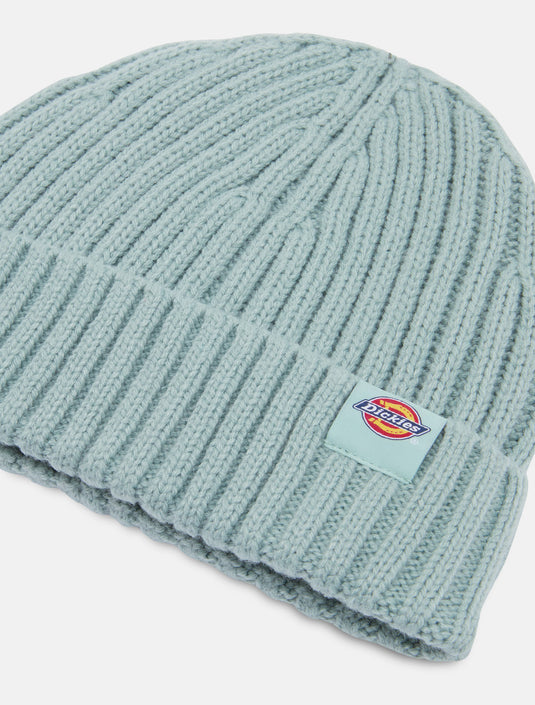 Dickies Unisex Lockwood Beanie Hat Blue Surf DK0A4Z2OJ59