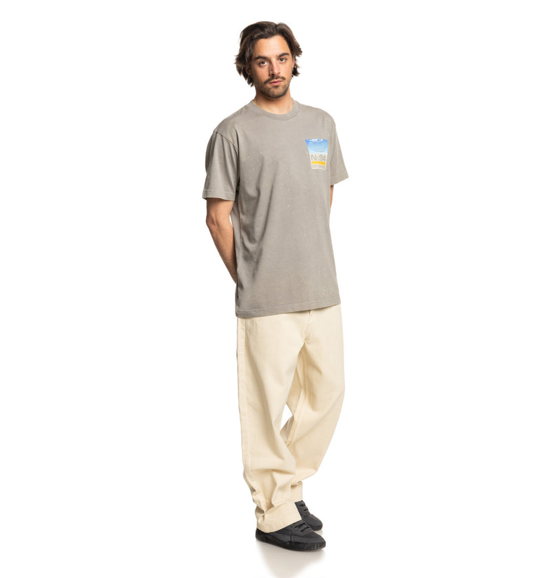 Load image into Gallery viewer, DC Men&#39;s Worker Baggy Denim Roo Pant Oatmeal Overdye ADYDP03094-WDVW
