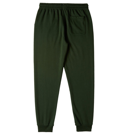 DC Men's Baseline Joggers Mountain View ADYFB03069-GZH0