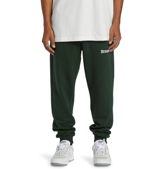 DC Men's Baseline Joggers Mountain View ADYFB03069-GZH0