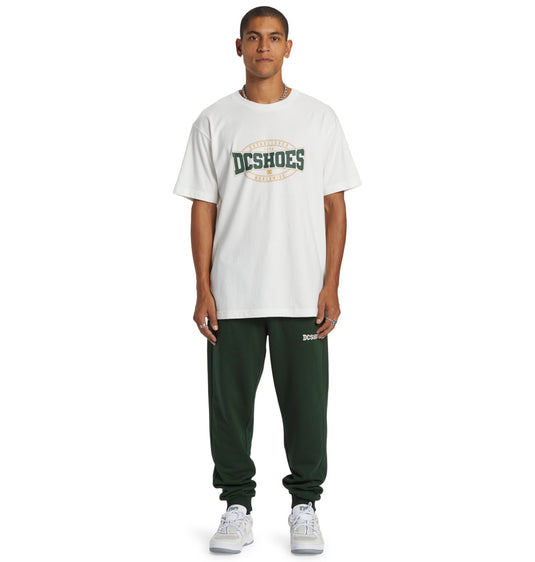 DC Men's Baseline Joggers Mountain View ADYFB03069-GZH0