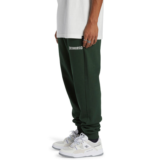 DC Men's Baseline Joggers Mountain View ADYFB03069-GZH0