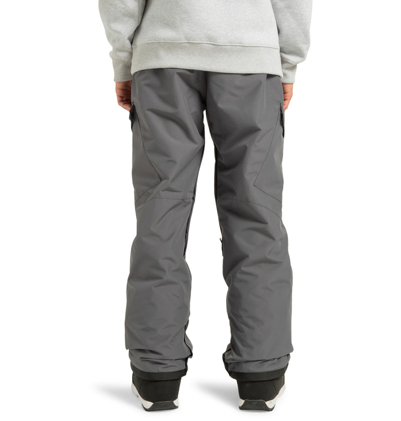 Load image into Gallery viewer, DC Men&#39;s Banshee Technical Snow Pants Magnet ADYTP03042_KZL0
