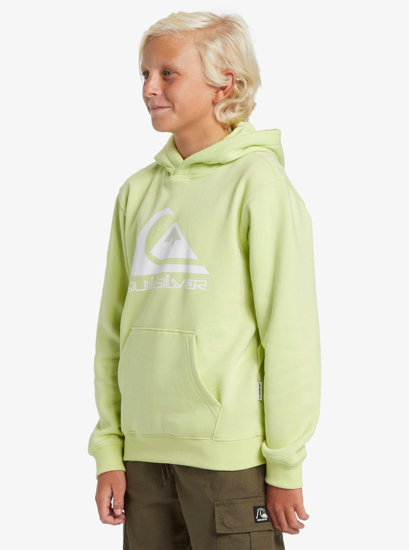 Load image into Gallery viewer, Quiksilver Kids&#39; Big Logo Pullover Hoodie Shadow Lime AQBFT03099_GCQ0
