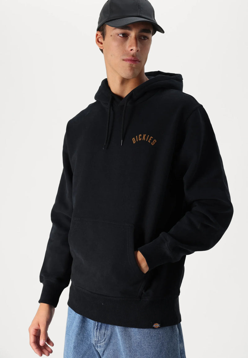 Load image into Gallery viewer, Dickies Men&#39;s Panther Hoodie Black DK0A87CIBLK
